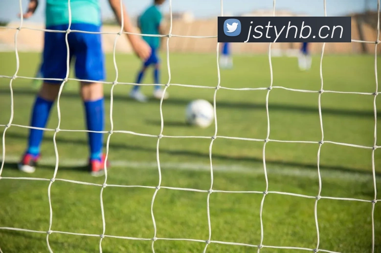 ayx平台官网入口APP 封面图